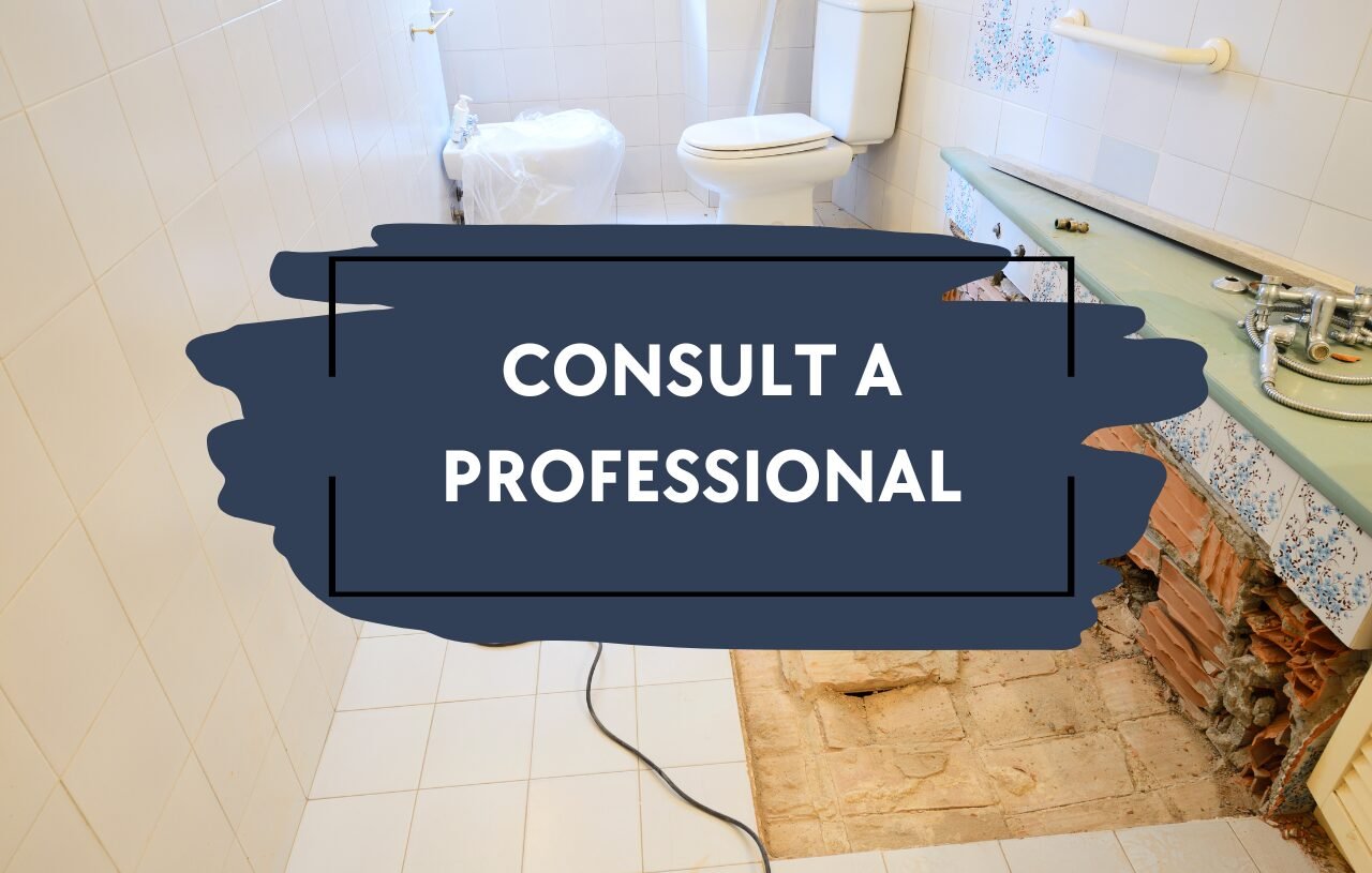 Featured blog post image of a bathroom demo. Over top of the image is a title that reads 'Consult a Professional.'